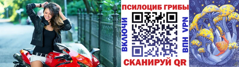 Купить закладки  Данков  Псилоцибиновые грибы мухоморы 
